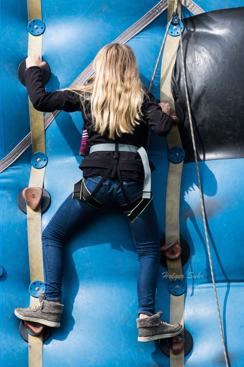 Bild 339 - Vogelschiessen